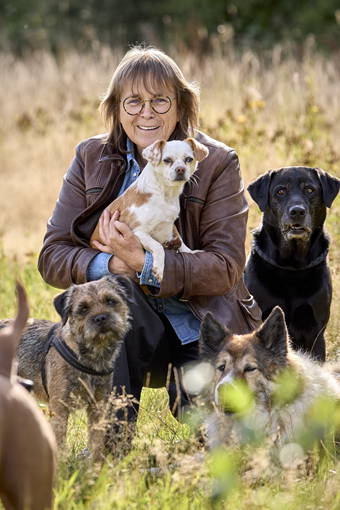 Ankes Gassi Service - da fühlt sich Ihr Hund so richtig wohl, Gassi Service Hamburg, HH, Dogwalking, Dogwalker, kostenloser Hol- und Bring-Service, Tagesbetreuung, Halbtagesbetreuung, Urlaubsbetreuung, Wochenendbetreuung, Feiertagsbetreuung ohne Aufpreis